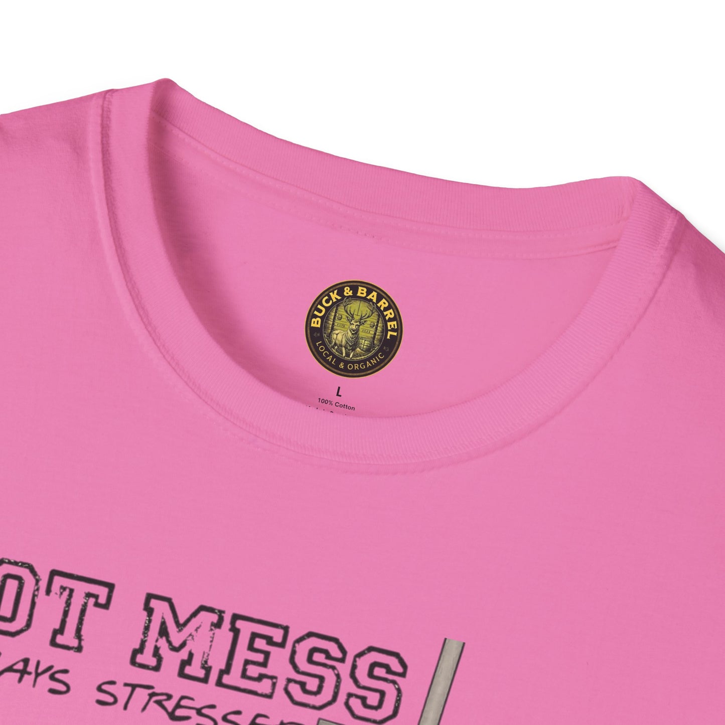 Hot Mess Baseball  Mpm Softstyle T-Shirt