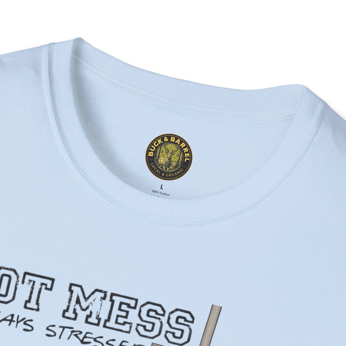 Hot Mess Baseball  Mpm Softstyle T-Shirt